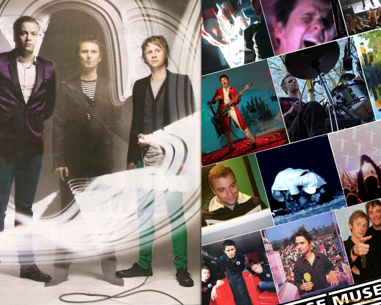 , muse